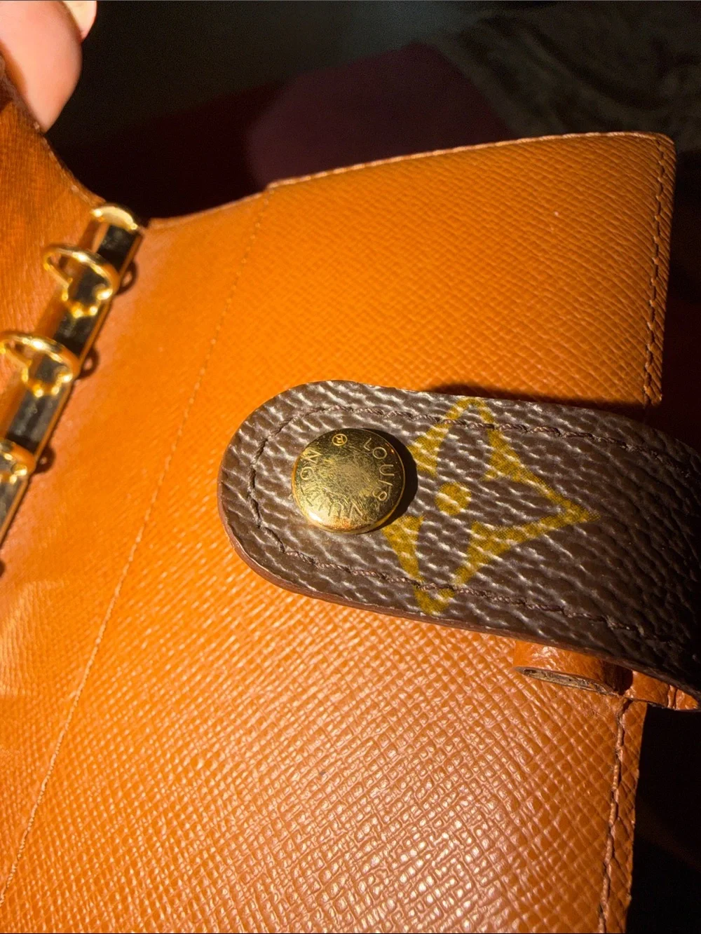 Louis Vuitton iconic louis